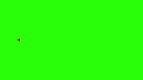 Splats Elements Motion Graphics Pack – 4K with Alpha Channel Stock Footage 314128465