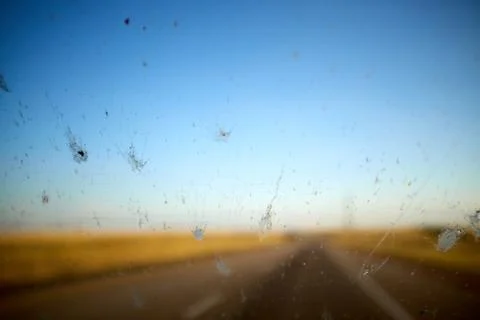 Splatter of flying fish insects on a windshield Stock Photos