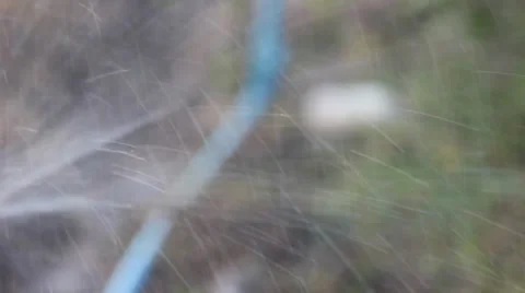 Splatter of water 動画素材 35066210