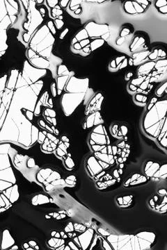 Splattered black paint making a complex abstract pattern on a white surface Stock Photos