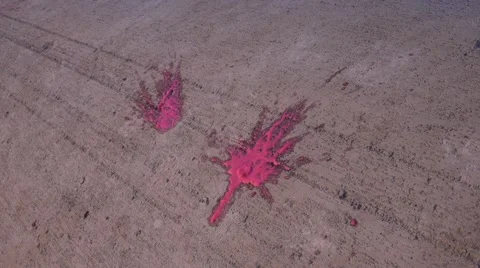 Splattered Paintballs 2 Stock-Footage 40723727