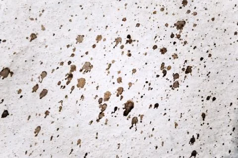 Splattered wall Stock Photos