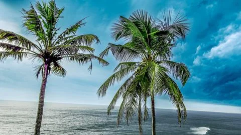 Splendid-Beach-view-of-Kerala Foto stock