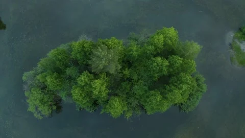 Splendid bird's eye view of calm lake and green forests on sunny day. Filmed in  Stock Footage 208420094