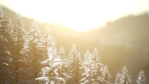 Splendid Christmas scene in the mountain forest. Colorful winter sunrise Stock Illustration