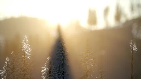 Splendid Christmas scene in the mountain forest. Colorful winter sunrise Stock Illustration