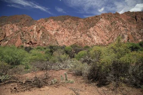 The splendid colors of the Quebrada De Las Conchas, Argentina Foto stock