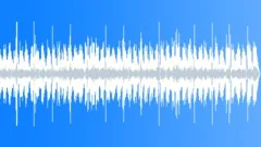 Splendid Country Music, Music for Artistic Lounge Bars Stock Music