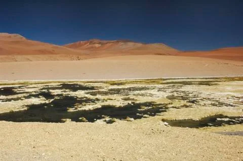 Splendid landscape in the desert Stock-Fotos