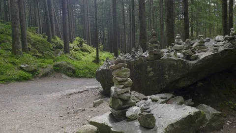Splendid little stone men in a forest in Trentino Alto Adige 스톡 동영상 242386278