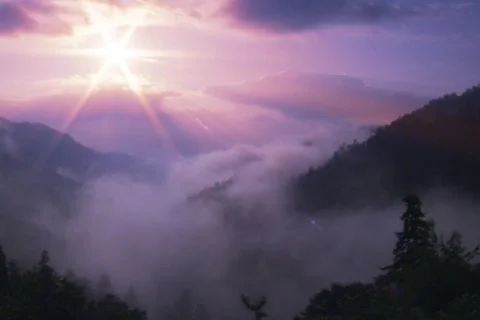 Splendid Morning Stock Footage 335500