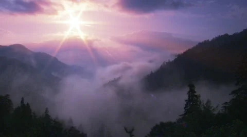Splendid Morning HD Stock Footage 335501