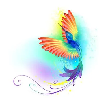 Splendid rainbow hummingbird Stock Illustration