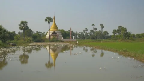 Splendid small temple covered with gold around a lake, in Myanmar Stock Footage 236737768