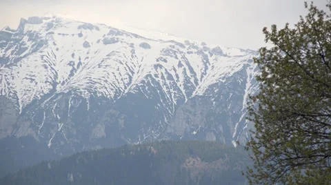 Splendid spring landscape, snowed mountains and blossom meadow zoom out 4K Stock Footage 38020256