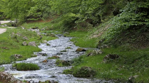 Splendid spring scenery, pure mountain river pour in green forest 스톡 동영상 29674415