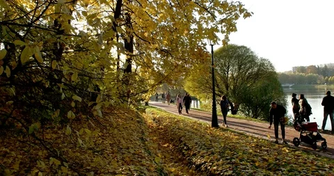 Splendor of autumn Stock Footage 96682878