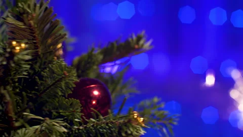 The Splendor of Christmas Vidéo 166909698