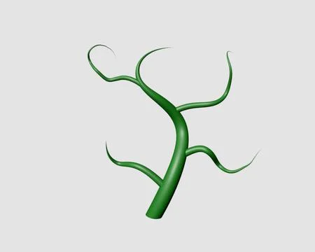 Spline Tree 3D Model