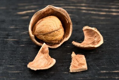 Splintered hazelnuts Stock Photos