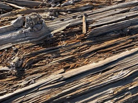 Splintered Rustic Wooden Log Background, Wood Texture Stock Photos