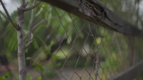 Splintered wood posts support a frayed chain-link fence Stock Footage 337587515
