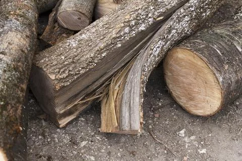Split and cut tree logs on a rough outdoor surface Stock Photos