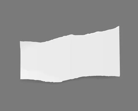 Split and rip, blank white paper piece torn edges Stock Illustration