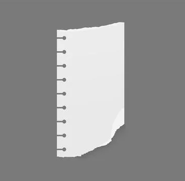 Split and rip, empty white paper with torn edge Stock Illustration