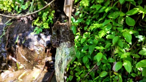 Split Bamboo Water Channel Flowing beside Lush Tropical Plants Stock-Footage 348064256
