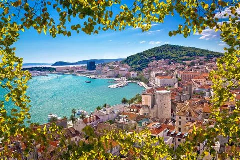 Split bay aerial view through tree leaves lazer Split bay aerial view thro... Stock Photos