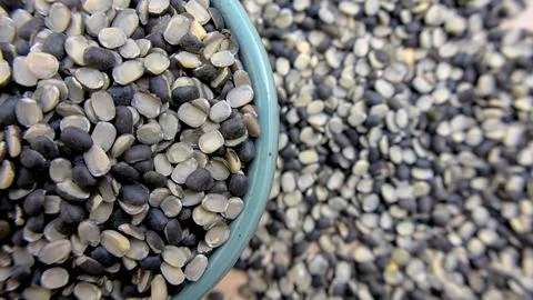 Split Black Gram or Black Lentil Urad Dal, Vigna Mungo in Bowl Close-up Top View Stock-Fotos