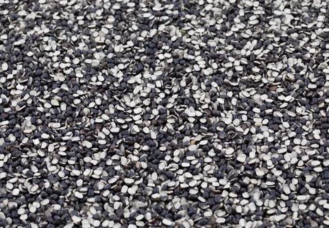 Split Black Lentil (Urad Dal) Filled in As Background Stock Photos