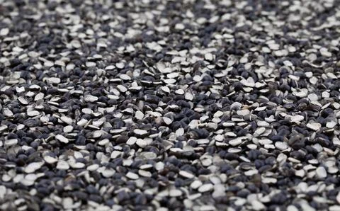 Split Black Lentil (Urad Dal) Filled in As Background Stock Photos