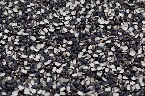 Split Black Lentil (Urad Dal) Filled in As Background Stock Photos