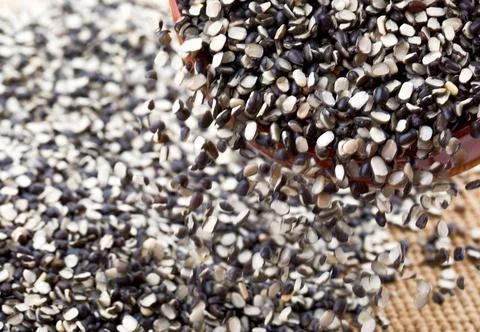 Split Black Lentil (Urad Dal) Filled in As Background Stock Photos