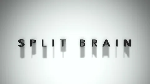 Split brain 3D matte black writing upon a white backdrop 動画素材 301837372