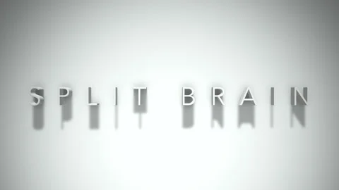 Split brain 3D title animation with shadows on a white background 動画素材 297084819
