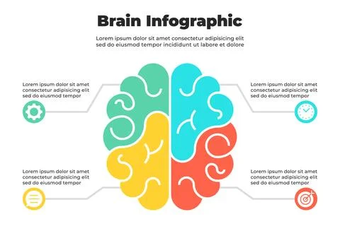 Split brain infographic with mirrored patterns and symmetrical icon Stock Illustration