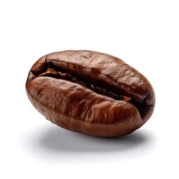 Split brown coffee bean on a white background Stock Photos