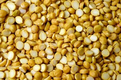Split Chana Dal Texture with Defocus Background Macro Lentil Food Photography Stock Photos