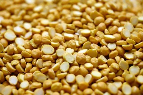 Split Chana Dal Texture with Defocus Background Macro Lentil Food Photography Stock Photos