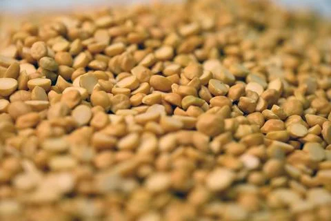 Split Chana Dal Texture with Defocus Background Macro Photography Stock Photos
