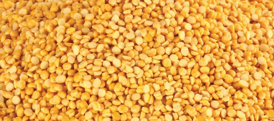 Split Chickpea also know as Chana Dal, Dried Chickpea Lentils or Toor Dal, .. Stock Photos