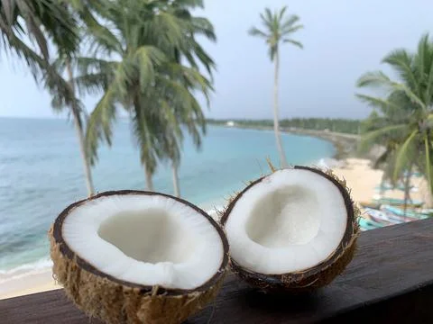 Split coconut on a background of palm trees and the sea Stock Photos