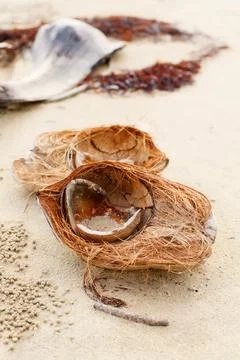 Split coconut on the sand beach Foto stock