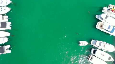 Split. Croatia. Drone Aerial View Of Saint Domnius Cathedral Stock-Footage 138909971