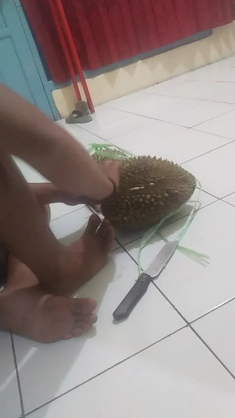 Split durian Video stock 208330042