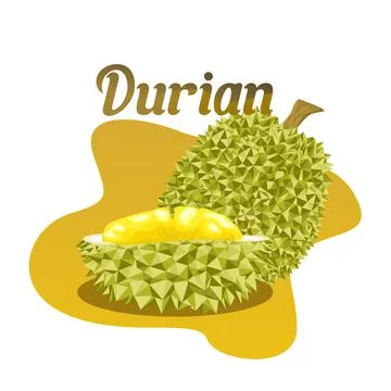 Split durian fruit polygon vector design on isolated white background. Stock Illustration