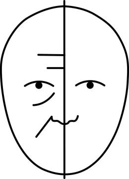 Split face expression illustration Vector Stock Illustration